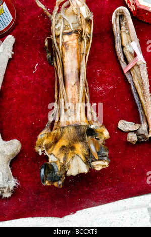 Illegale Tier, das Teile der Handel mit China Tiger paw und andere Tiger-Teile sowie andere bedrohten Arten werden in ganz Kinn verkauft Stockfoto