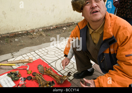 Illegale Tier, das Teile der Handel mit China Tiger paw und andere Tiger-Teile sowie andere bedrohten Arten werden in ganz Kinn verkauft Stockfoto