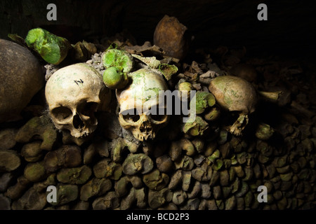 Schädel und Oberschenkelknochen die Katakomben am Montparnasse Paris Frankreich Europa Stockfoto