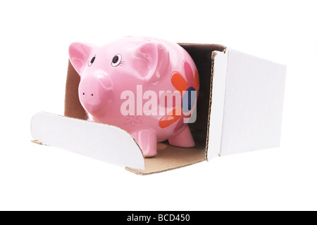 Sparschwein in Karton Stockfoto