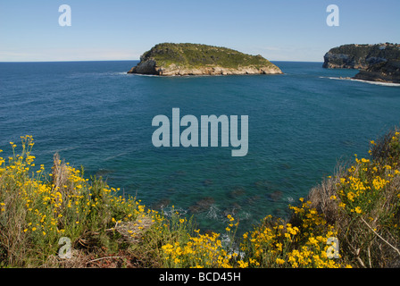 Blick auf Insel betauchen von Prim Cap, Javea / Xabia, Provinz Alicante, Comunidad Valenciana, Spanien Stockfoto