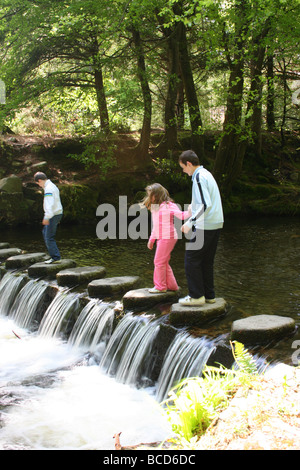 Kinder spielen am Stepping Stones über den Shimna River, Tollymore Forest Park, County Down, Nordirland Stockfoto