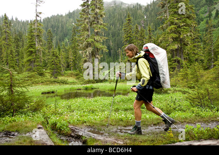 Eine Frau Wanderungen auf einem schlammigen Weg führt ins Hinterland des Bereichs Bailey im Olympic Nationalpark in Washington. Stockfoto