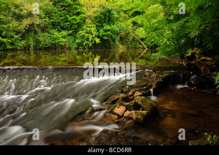 Fluß Ayr, Wehr von Sorn, ayrshire Stockfoto