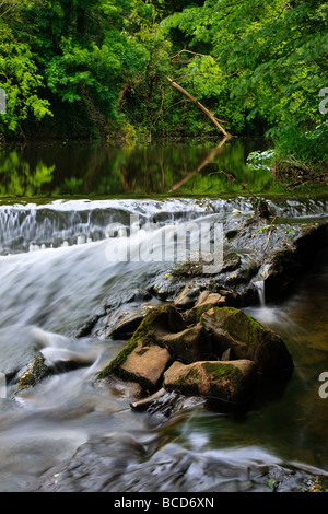 Fluß Ayr, Wehr von Sorn, Ayrshire Stockfoto