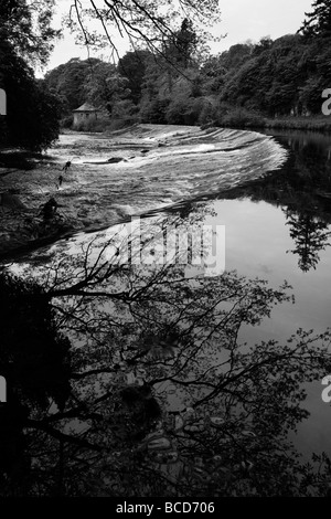 Fluß Ayr, Wehr von Sorn, Ayrshire (schwarz-weiß &) Stockfoto