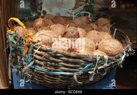 Kokosnüsse zum Verkauf an Chalai Basar, Trivandrum Kerala Indien Stockfoto