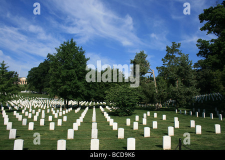 Arlington Nationalfriedhof Arlington Virginia. Stockfoto