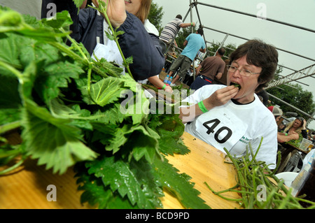 Brennnessel Essen Meisterschaften, Dorset, Großbritannien Stockfoto