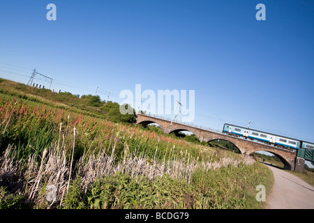 Zug in Richtung über Bahnbögen. Walthamstow Marshes, Lee Valley Regional Park, London, England, Vereinigtes Königreich Stockfoto