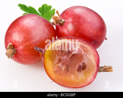 Beeren der Stachelbeere auf weißem Hintergrund Stockfoto