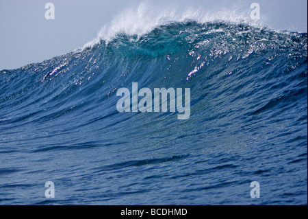 Eine brechende Welle rollt über dem Riff bei einem Surf spot auf Fuerteventura, Kanarische Inseln Stockfoto