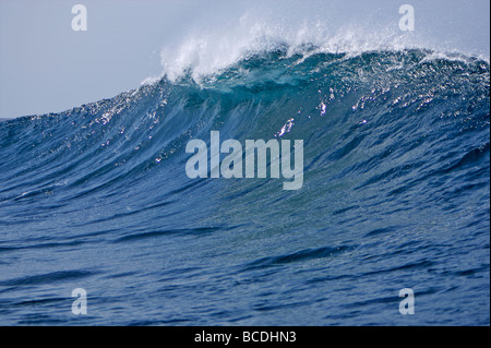 Eine brechende Welle rollt über dem Riff bei einem Surf spot auf Fuerteventura, Kanarische Inseln Stockfoto