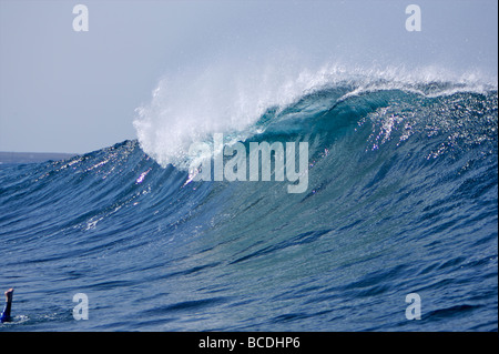 Eine brechende Welle rollt über dem Riff bei einem Surf spot auf Fuerteventura, Kanarische Inseln Stockfoto