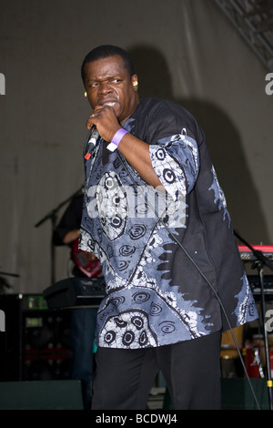 Brent multikulturelle Festival Rundholz Park Harlesden London England UK Europe Stockfoto