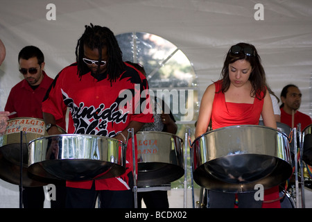 Brent multikulturelle Festival Rundholz Park Harlesden London England UK Europe Stockfoto