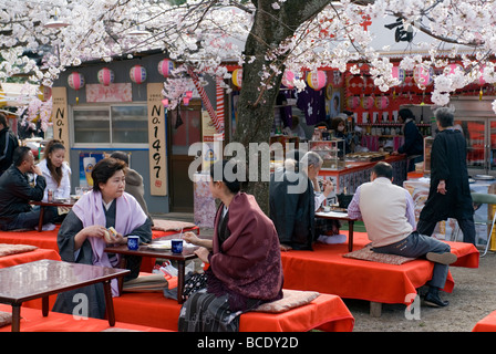 Anzeige oder Hanami Kirschblüte ist eine gute Zeit, Ihren Freunden und ein paar Drinks unter einem Baldachin von Blumen im Park zu genießen Stockfoto