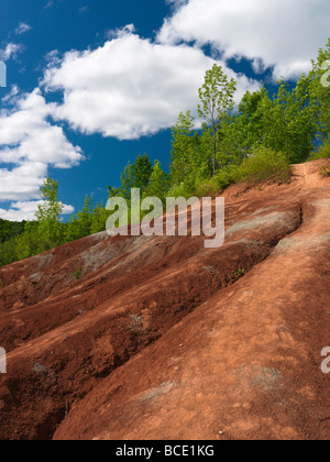 Cheltenham Badlands Ontario Kanada Stockfoto