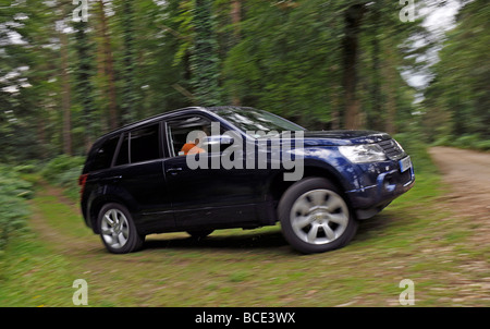 2009 Suzuki Grand Vitara Stockfoto