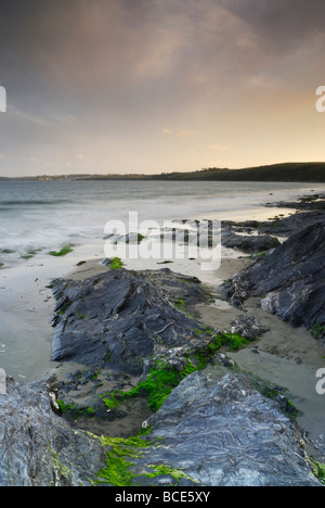 Felsigen Grundgestein ausgesetzt bei Ebbe am Pendower Beach Nr Carne Cornwall England uK Stockfoto