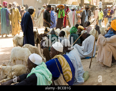 Mali. Sahel. Wochenmarkt in Djenné.Cattle Markt. Stockfoto