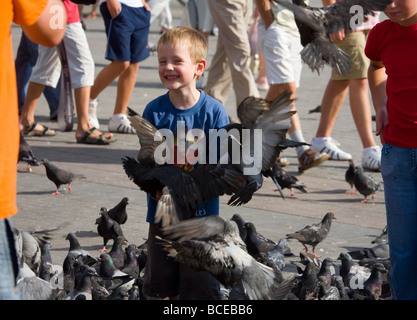 Polen Krakau Hauptmarkt Tauben und junge Spaß Stockfoto
