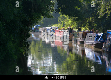 Lastkähne vertäut am Ufer bei Bradford-Upon-Avon, Kennet & Avon Canal, Wiltshire, England, UK Stockfoto
