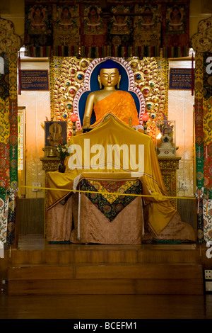 Eine Statue von Lord Buddha im Tempel des Tsuglagkhang Complex, McCleod Ganj. Himachal Pradesh. Indien. Stockfoto