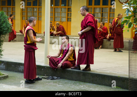 Buddhistische Mönche diskutieren im Namgyal Tempel in den Tsuglagkhang Complex. McCleod Ganj. Himachal Pradesh. Indien. Stockfoto