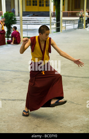 Buddhistische Mönche diskutieren im Namgyal Tempel in den Tsuglagkhang Complex. McCleod Ganj. Himachal Pradesh. Indien. Stockfoto