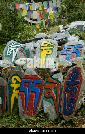Tibetische Mani-Steinen auf der Kora-Pfad (rituelle Schaltung) rund um den Tsuglagkhang Komplex. McCleod Ganj. Himachal Pradesh. Indien. Stockfoto