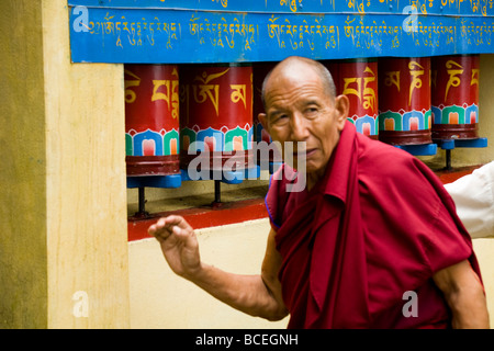 Alten buddhistischen tibetischen Mönch dreht Gebetsmühlen auf Kora Weg nahe Tsuglagkhang Complex. McCleod Ganj. Himachal Pradesh. Indien Stockfoto