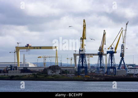 Harland und Wolff Werft Trockendock und Kräne im Hafen von Belfast Belfast Hafen Nordirland Großbritannien Europa Stockfoto