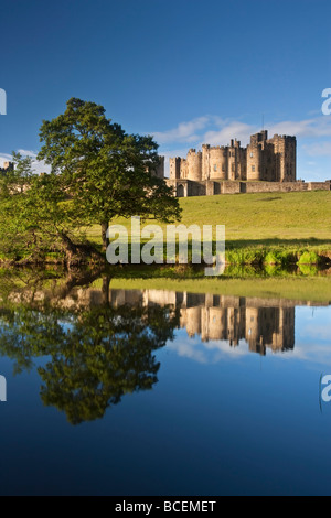 Alnwick Castle spiegelt sich im Fluss Aln auf einer klaren Sommermorgen, Northumberland, England Stockfoto