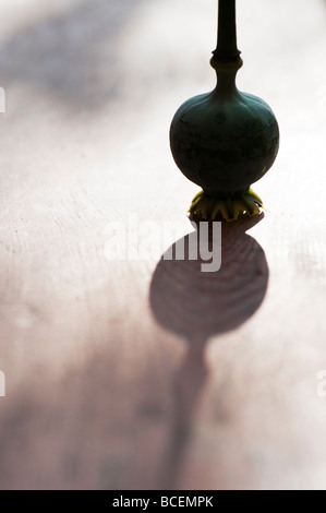 Mohn pod Hintergrundbeleuchtung Erzeugen von Schatten auf Holz Stockfoto