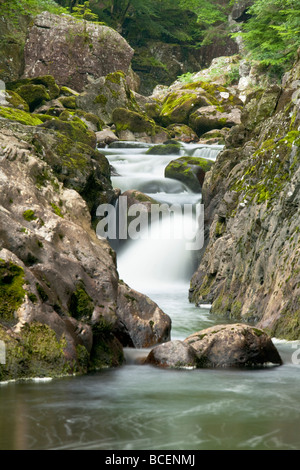 Afon LLugwn an der Bergleute-Brücke in der Nähe von Betws-y-Coed, Snowdonia, North Wales, Uk Stockfoto