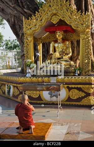 Myanmar, Burma, Yangon. Ein junger Mönch betet in einem Schrein in der Shwedagon Golden Temple Stockfoto