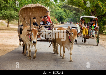 Myanmar. Burma. Bagan.  Ein Bauernhof Ochsen gezogenen Wagen geht einen Pferdewagen Buggy auf dem Weg nach Nyaung U-Markt. Stockfoto