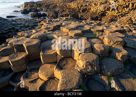Nordirland, County Antrim. Der Giant's Causeway, County Antrim, Nordirland, Vereinigtes Königreich. Ein Teil des Weltkulturerbes. Stockfoto
