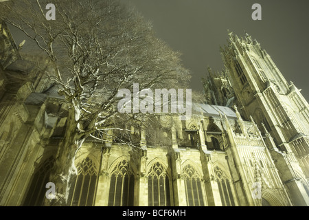 Beverley Minster Teppichboden im Schnee, East Yorkshire, UK Stockfoto