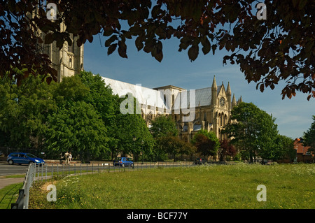 Südlichen Querschiff der Beverley Minster East Yorkshire England UK GB Großbritannien Stockfoto