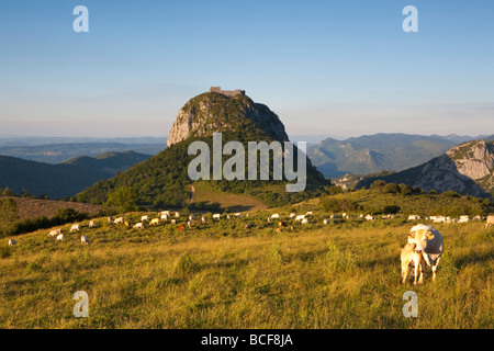 Montségur, Ariege, Midi-Pyrenäen, Frankreich Stockfoto