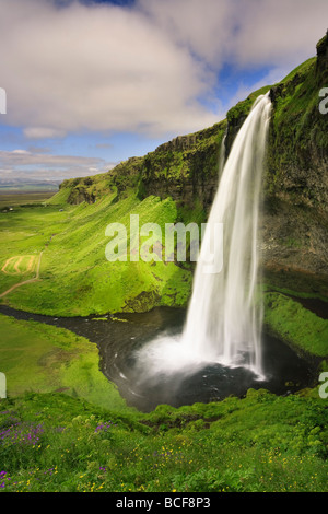 Seljalandfoss Wasserfall, Südküste, Island Stockfoto