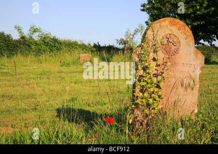 Alte schwere Grabstein mit eine einzigen Mohn in einen Norfolk, Großbritannien, Kirchhof. Stockfoto