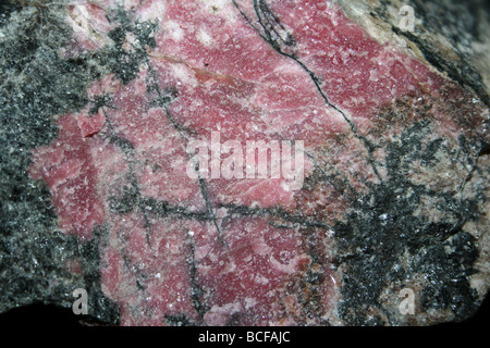 Rhodonit aus Danglemah, New-South.Wales, Australien Stockfoto