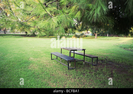 Picknicktisch im schönen park Stockfoto