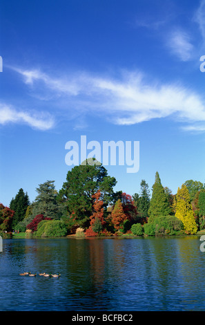 England, Sussex, Herbstlaub in Sheffield Park Garten Stockfoto