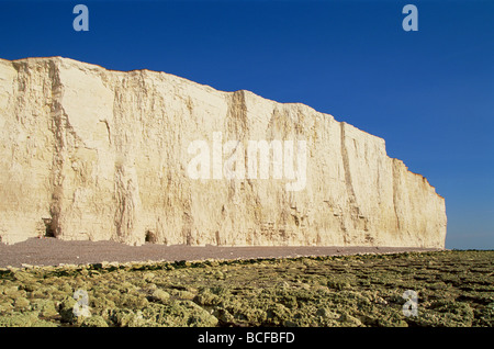 England, East Sussex, Strand von sieben Schwestern und Beachy Head Stockfoto