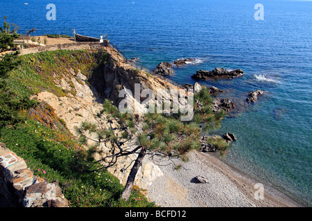 Collioure, Languedoc Roussillon, Frankreich Stockfoto