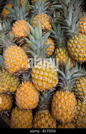 Insel La Réunion, Saint-Paul, Strandpromenade Markt, Ananas Stockfoto